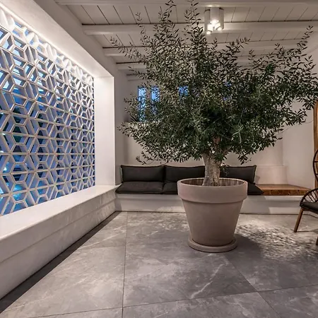 페티노스 Platys Gialos (Mykonos)